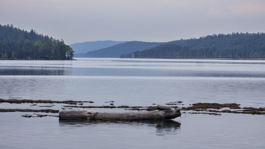 건강식 재료 추천 BEST 10 가이드 2026 | 초보도 쉽게 쓰는 완벽 리스트