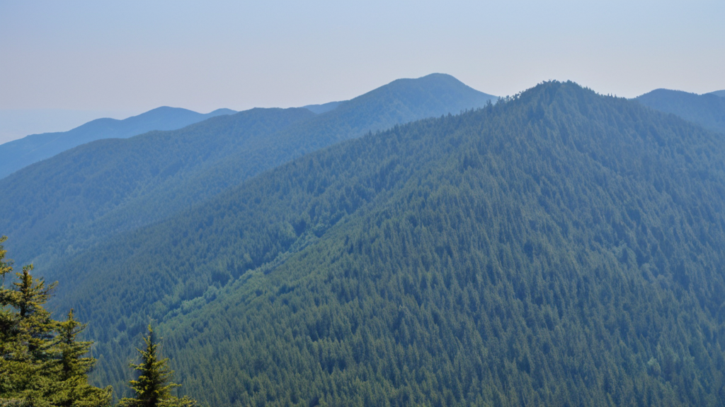 저탄수화물 식단 1주일 실전 가이드 (2026년 다이어트 초보 체중 3kg 감량)